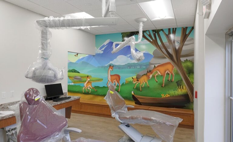 Dental open bay with a kid friendly mural of the Andes Mountains and South American animals