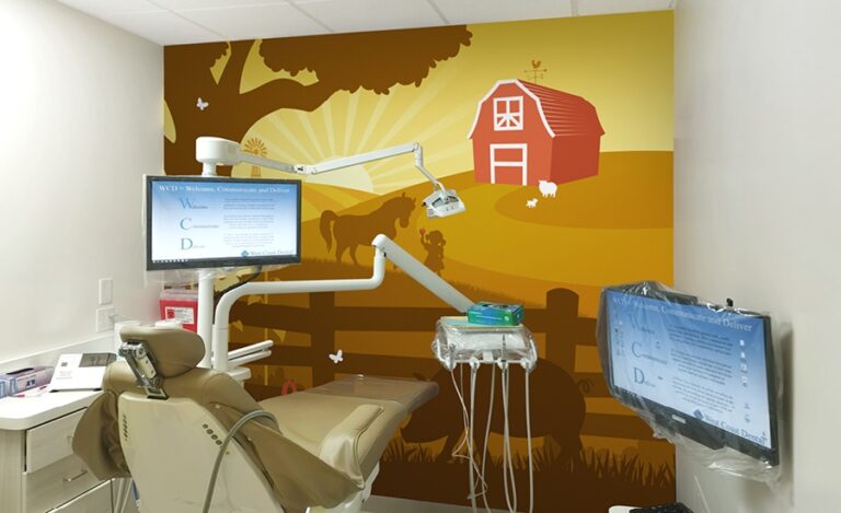 Farm themed mural in kid friendly treatment room
