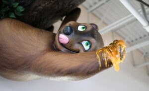 close up of bear sculpture licking his lips and eating honey