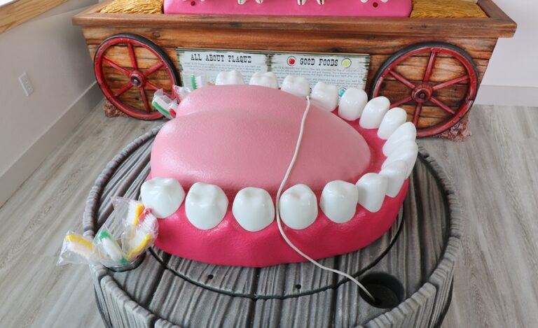 Close up of giant set of teeth for education in kids dental office