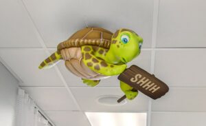 cute turtle character with shhh sign