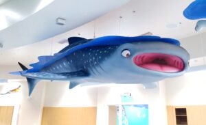 cute whale shark sculpture in kids dentist office