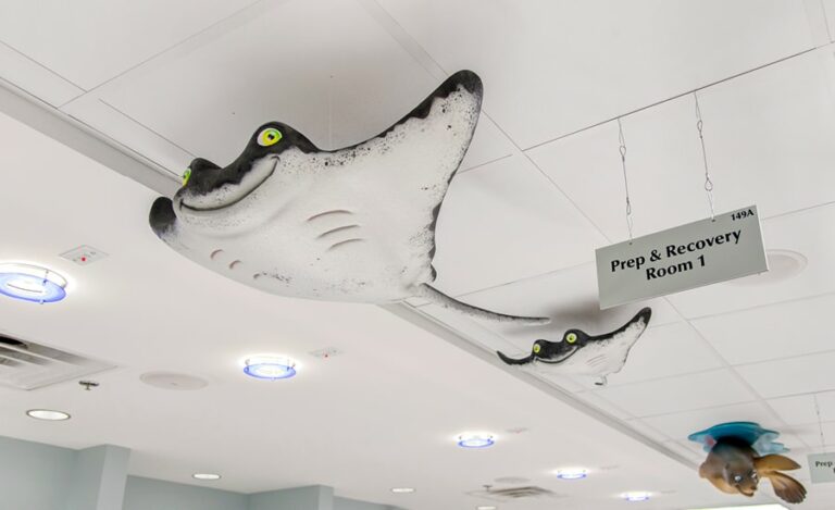 friendly seal character sculpture hanging from recovery room ceiling