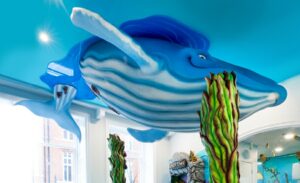 underside of humpback whale sculpture in pediatric dental office