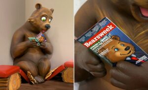 sculpted bear character reading magazine on log benches in a kids dental clinic