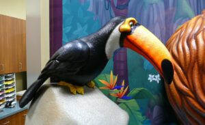 close up of a colorful sculpted toucan as part of a waterfall centerpiece in a kids dentistry