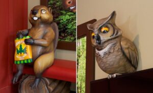 close up of sculpted beaver and owl characters in clinic waiting area