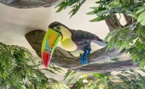 colorful toucan perched above a dental treatment bay