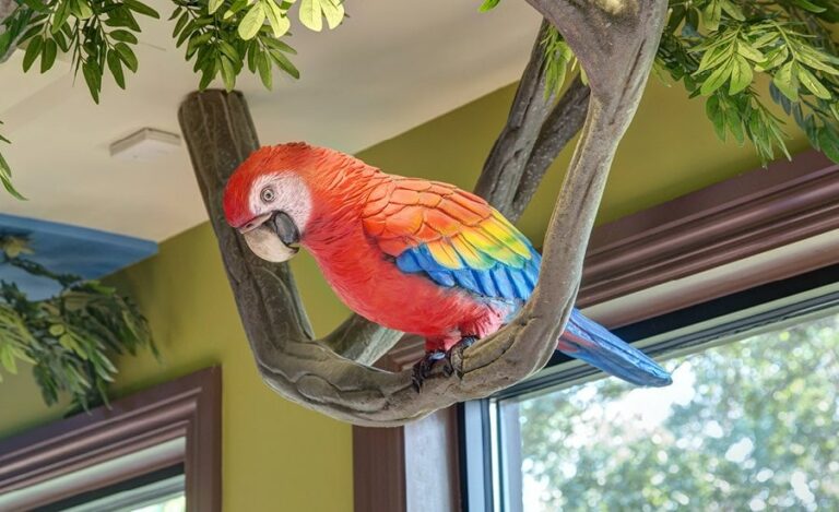 multicolored sculpted parrot with realistic features on a sculpted tree branch for a dental office