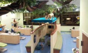 open bay with a themed boat centerpiece surrounding jungle trees and a play area