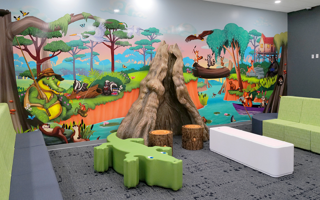 Wall Murals and Graphics for Kid's Areas