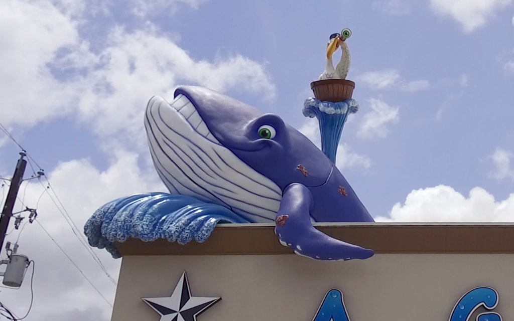 Giant sculpted whale landmark character on roof of pediatric dental office.