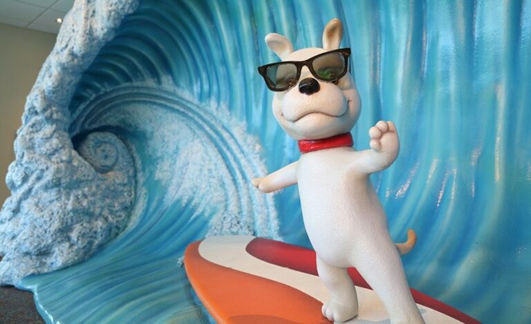 surfing puppy mascot on sculpted wave photo op in a dental waiting room