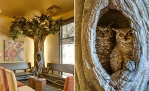 two sculpted owls nestled in tree hole for a jungle themed all ages dentistry waiting room