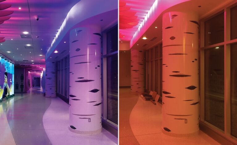 themed birch tree pillars in a hospital hallway wrapped with vinyl
