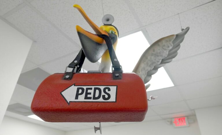 wayfinding signage of a pelican with a physicians head mirror carrying a doctors bag in its beak
