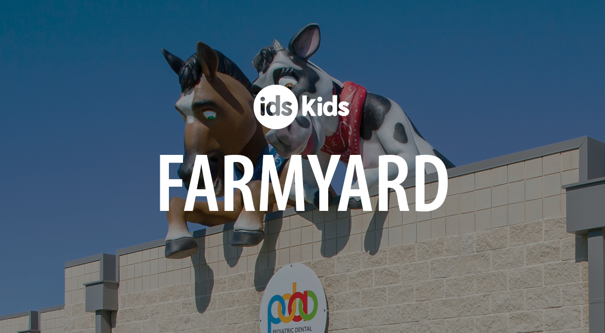 Spotlight on Fun Farmyard Office Decor