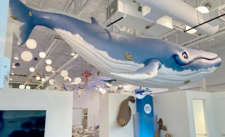 Giant blue whale hanging over a waiting room in a dental office.